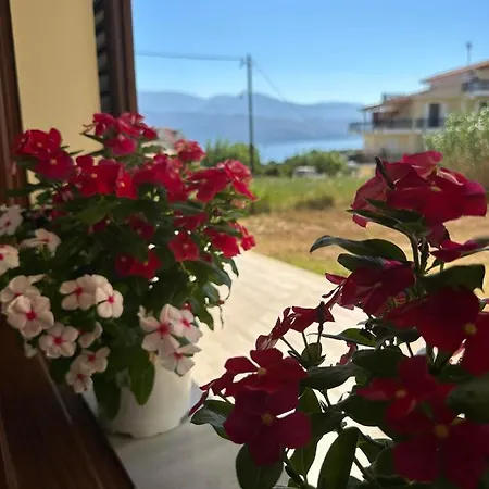 Lixourious * リクスリオン