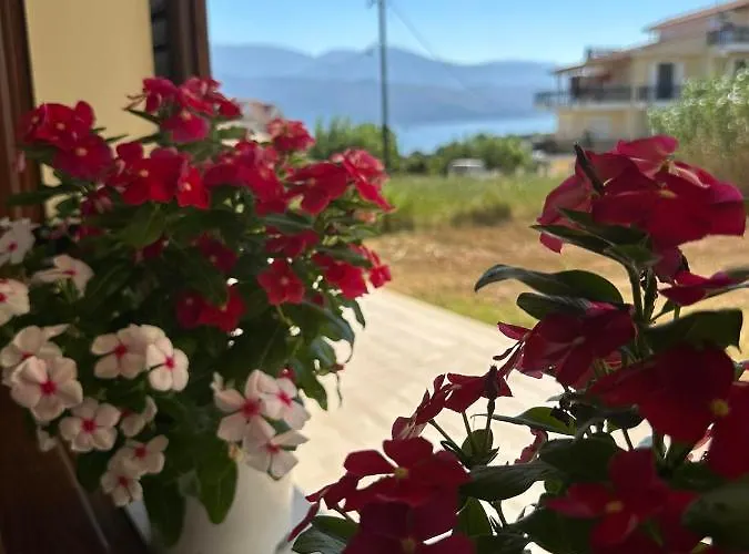 Lixourious * ليكسوري